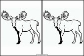 Älg - Djur 5