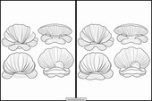 Vongole - Animali 2