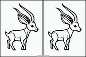 Antilopes - Animales 1