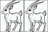 Antilopes - Animaux 3