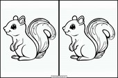 Squirrels - Animals 4