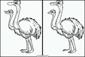 Struisvogels - Dieren 1