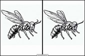 Wespen - Tiere 1