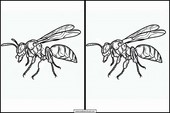 Wespen - Tiere 3