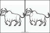 Oxen - Animals 5