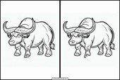 Büffel - Tiere 3