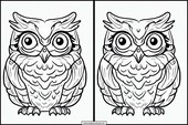 Owls - Animals 1