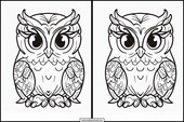 Owls - Animals 2