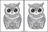 Owls - Animals 3