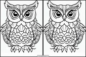 Owls - Animals 4