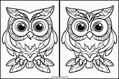 Owls - Animals 5