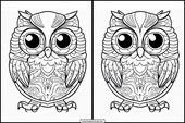 Owls - Animals 6