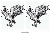 Vultures - Animals 3