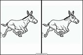 Donkeys - Animals 1