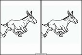 Burros - Animales 1