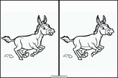 Burros - Animales 2