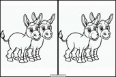 Burros - Animales 3