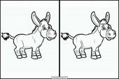 Burros - Animales 4