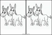 Donkeys - Animals 5