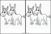 Burros - Animales 5