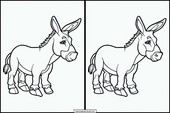 Donkeys - Animals 6