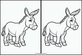 Burros - Animales 6