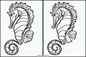 Seahorses - Animals 2