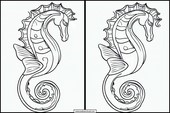 Seahorses - Animals 5