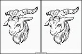 Goats - Animals 3