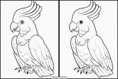 Cockatoos - Animals 1
