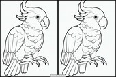Cockatoos - Animals 4