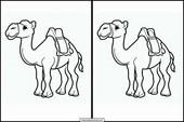 Camellos - Animales 2