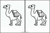 Kamelen - Dieren 3
