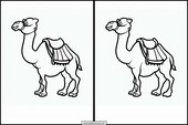 Camellos - Animales 3