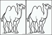 Camellos - Animales 4