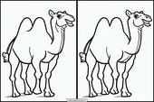 Camelos - Animais 4