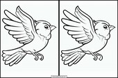 Canaries - Animals 6