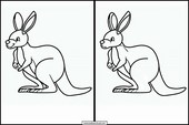 Kangaroos - Animals 3