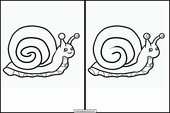 Escargots - Animaux 1