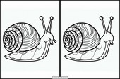 Escargots - Animaux 3