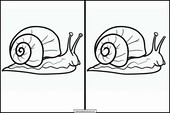 Escargots - Animaux 4