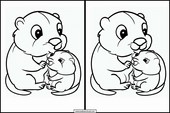Beavers - Animals 3