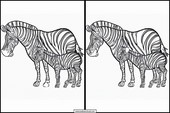 Zebras - Tiere 5