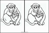 Chimpansees - Dieren 1
