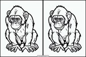 Chimpanzés - Animaux 3