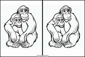 Schimpansen - Tiere 4