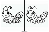 Centipedes - Animals 1