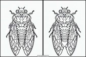 Cikader - Dyr 1