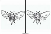 Cicaden - Dieren 2