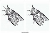 Cicadas - Animals 4